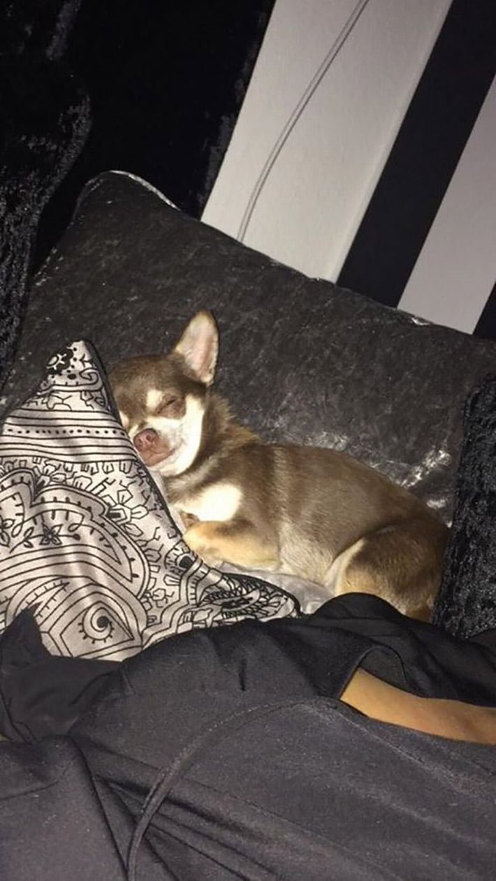 Gizmo Gizmo
