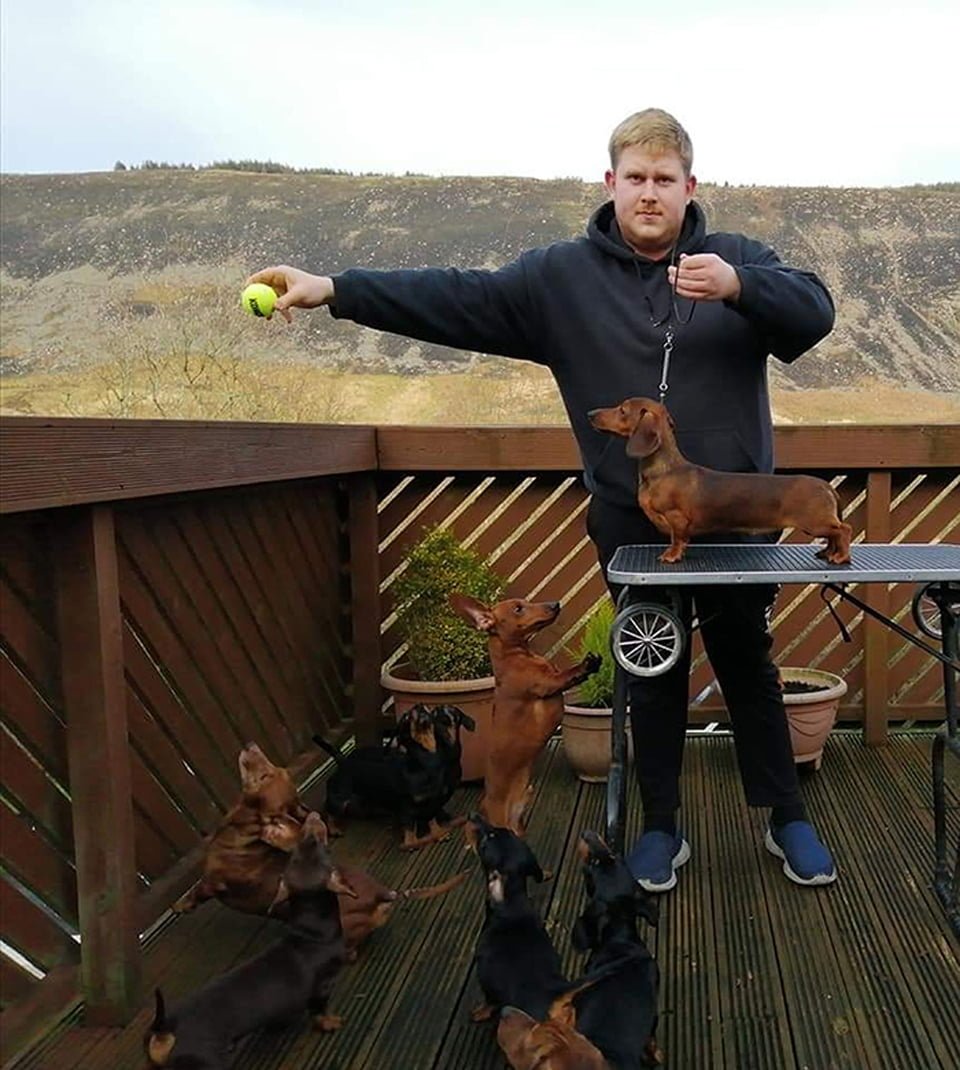 Liam y sus perros