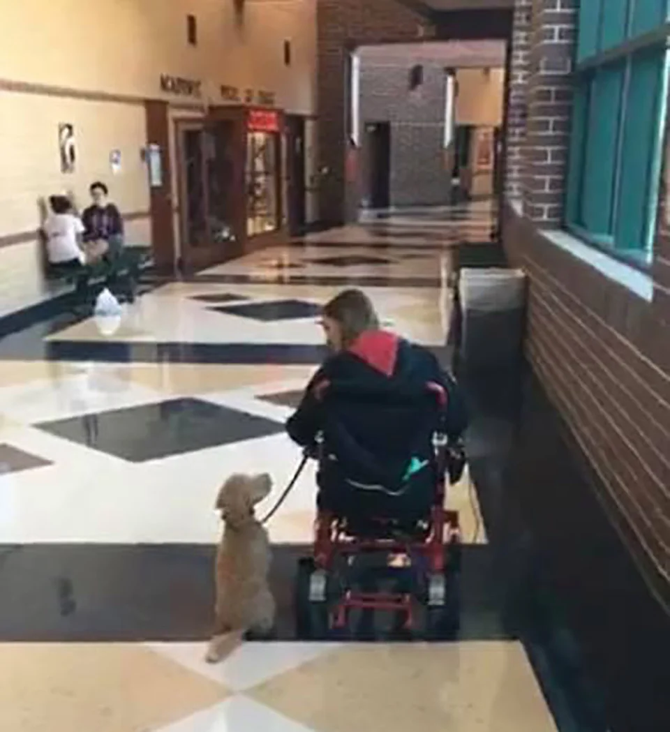 Perro de asistencia tiene la reacción más dulce al recibir una videollamada de mamá 5 Moxie y su madre