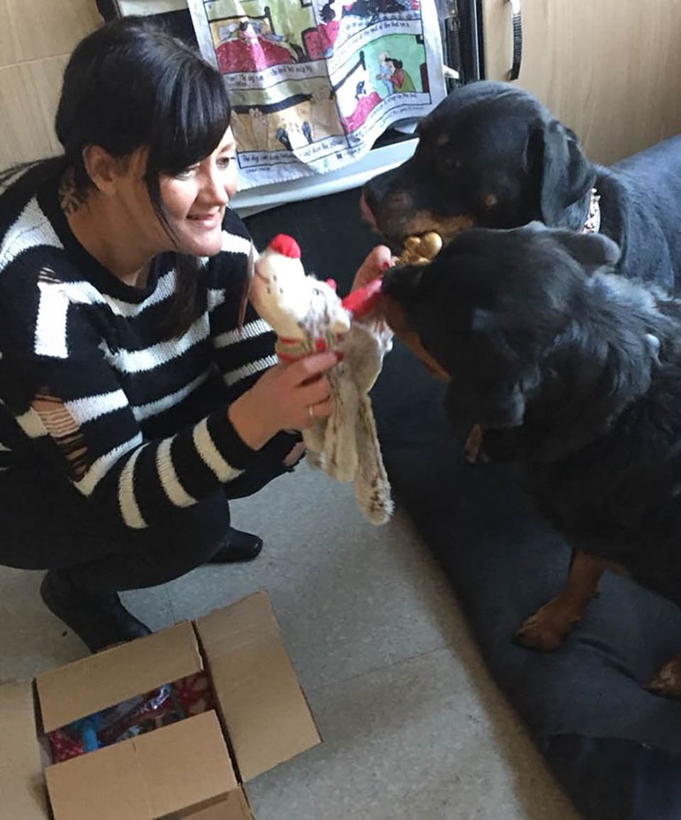 Mujer brinda cuidados a perritos
