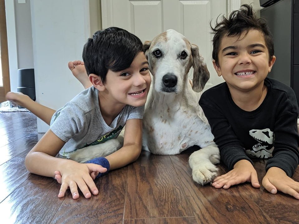 Familia le brinda a su perro con una enfermedad terminal el mejor fin de semana 7 Niños y perrito con cáncer