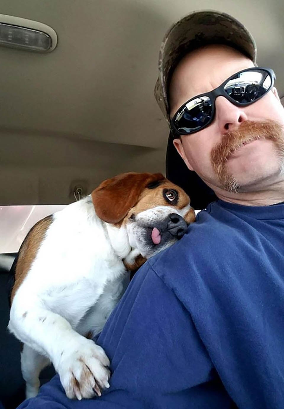 Hombre rescata a un beagle de ser sacrificado en un refugio y le agradece con un abrazo 10 Perrito abraza a hombre que lo rescato