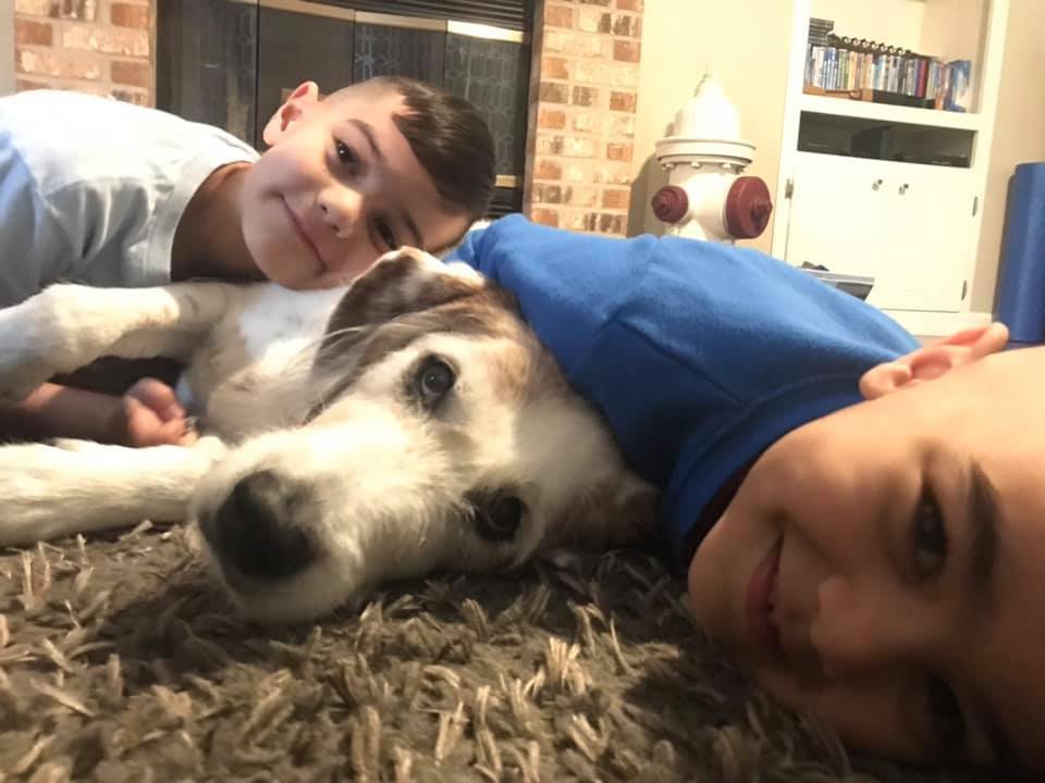 Familia le brinda a su perro con una enfermedad terminal el mejor fin de semana 9 Perrito con su familia