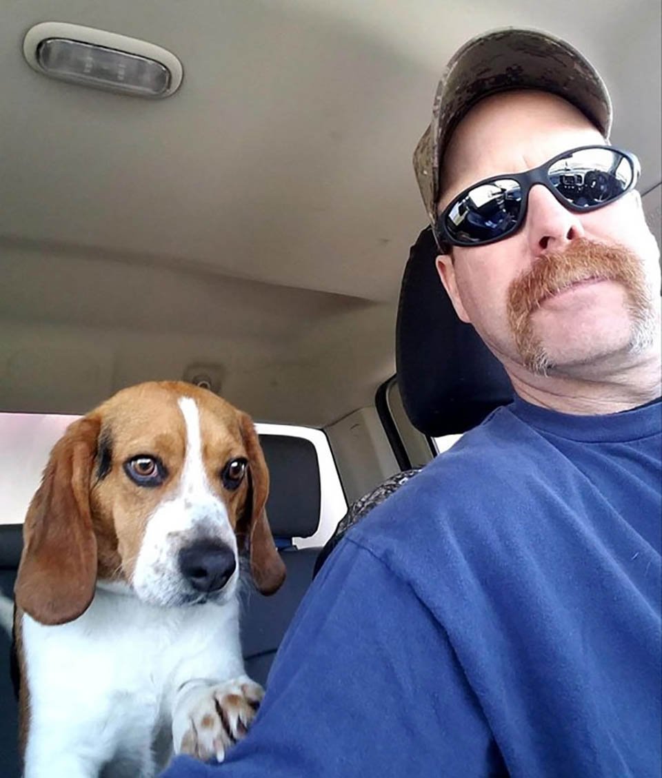 Hombre rescata a un beagle de ser sacrificado en un refugio y le agradece con un abrazo 11 Perrito en el auto