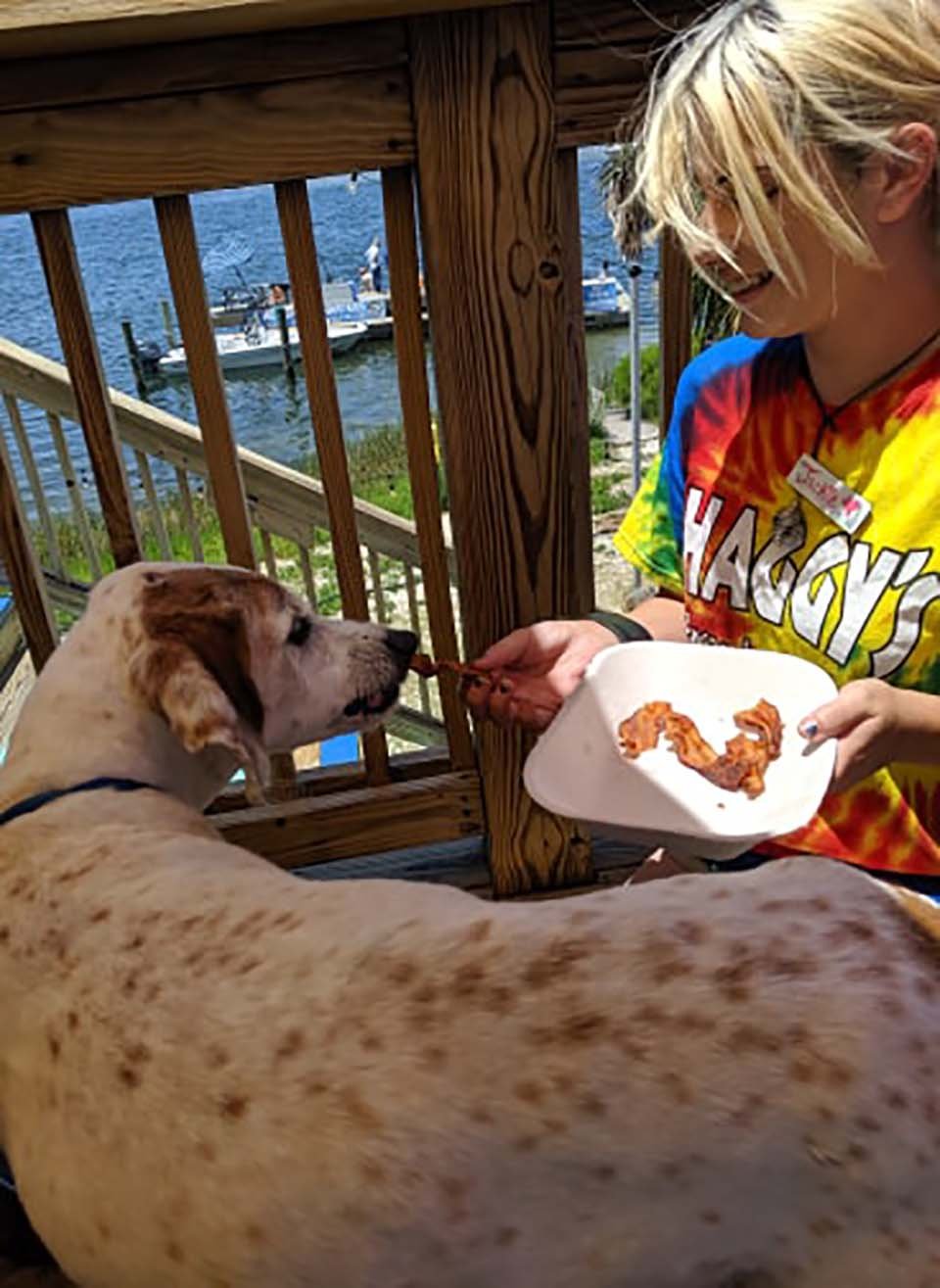 Familia le brinda a su perro con una enfermedad terminal el mejor fin de semana 11 Perrito recibe alimento