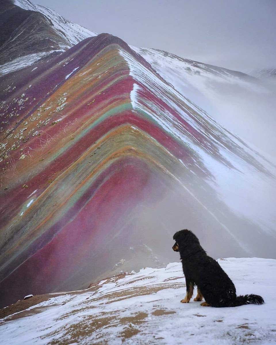 Perrito guía a los visitantes de la famosa Montaña de los Siete Colores a cambio de cariño 8 Perro en la montaña de los siete colores