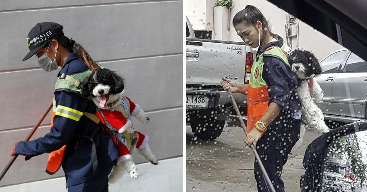 Barrendera en Bangkok lleva a su perro al trabajo