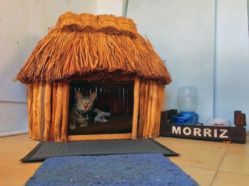 Casa maya para gato Casa maya para gato
