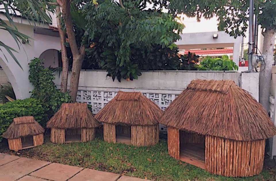 Conoce las increíbles casas mayas para perros y gatos 7 Casas para animales de compañía