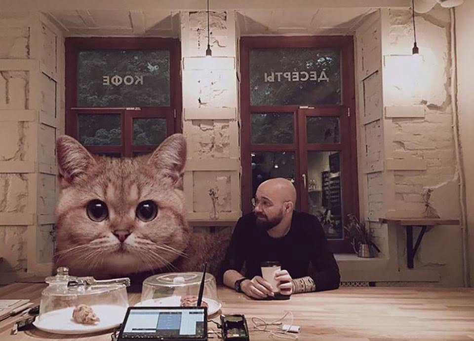 Hombre crea imágenes que muestran cómo se vería el mundo si los gatos fueran más grandes 14 Gato grande y hombre en mesa