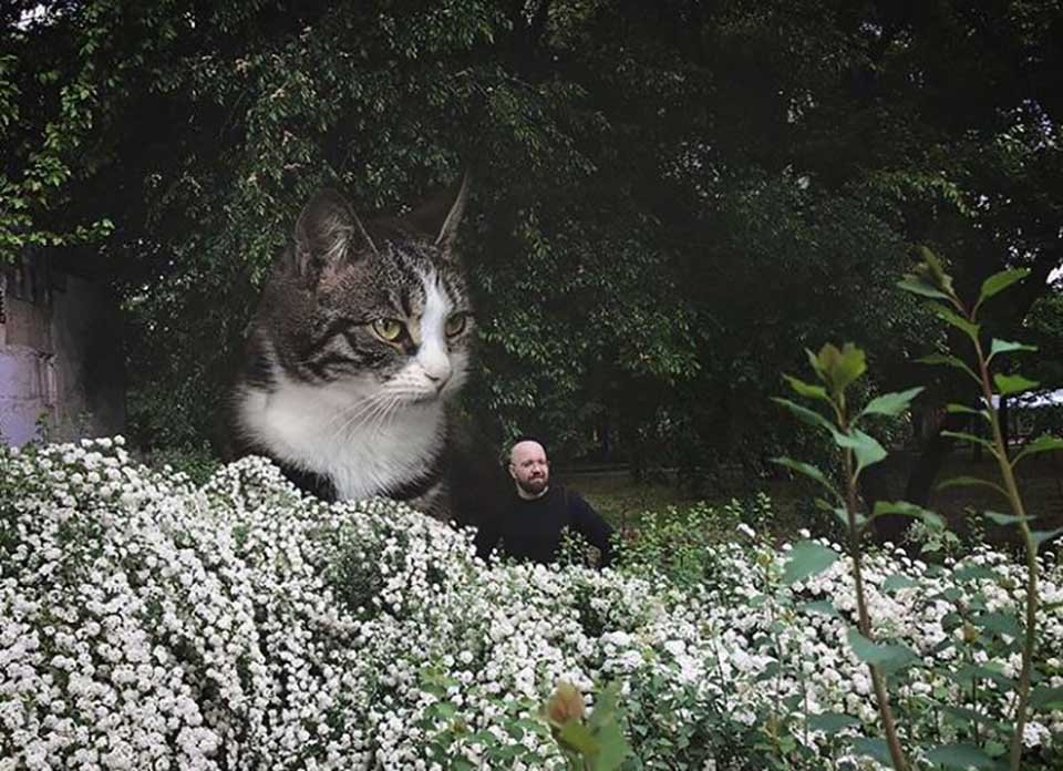 Hombre crea imágenes que muestran cómo se vería el mundo si los gatos fueran más grandes 15 Gato grande y hombre en un jardín