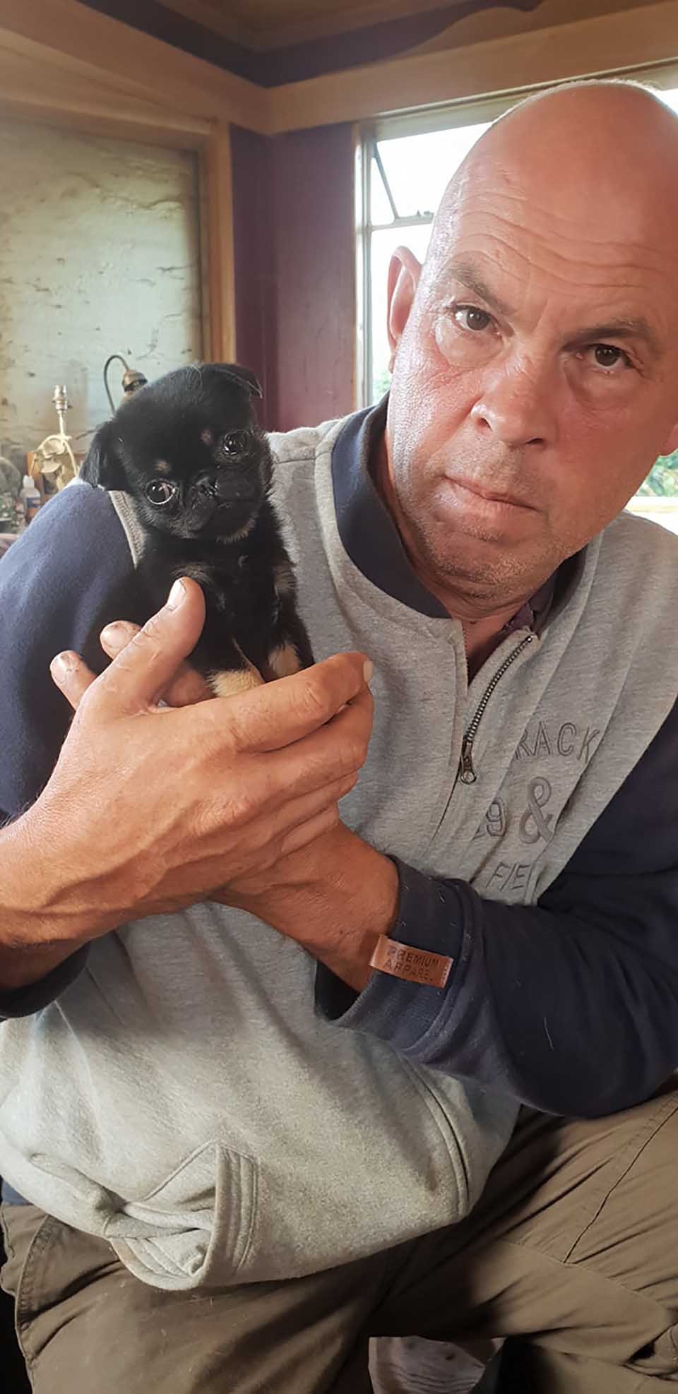 Hombre alza a un cachorro