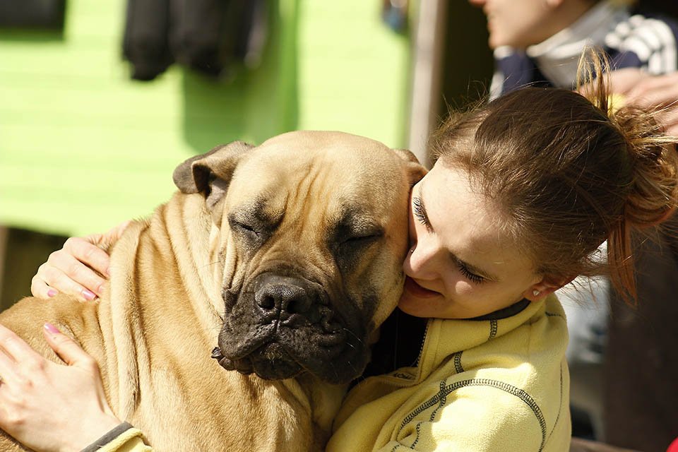 Mujer ama y brinda cariño a perro