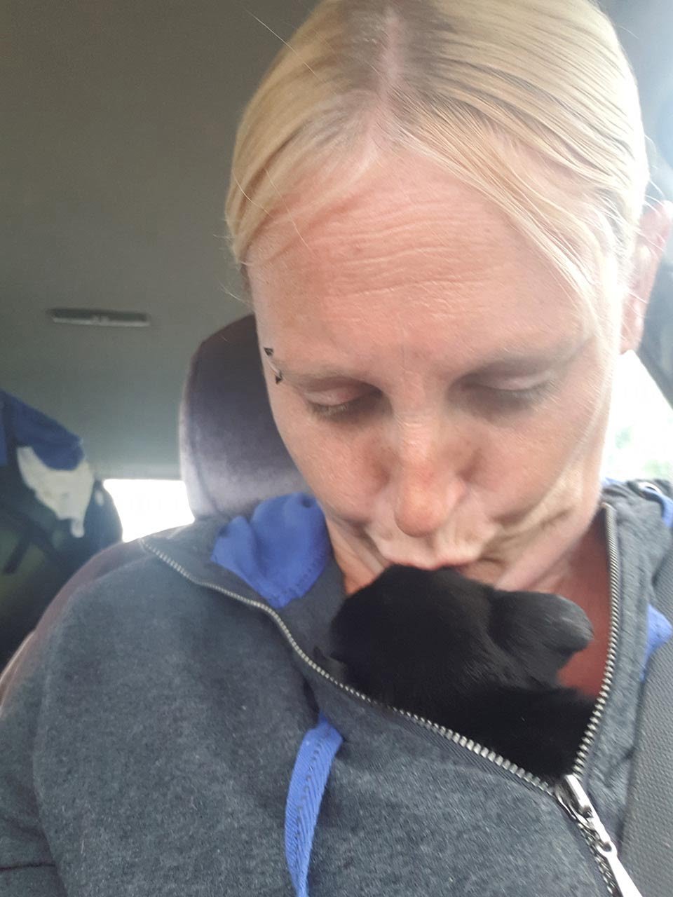 Mujer besa a cachorro rescatado