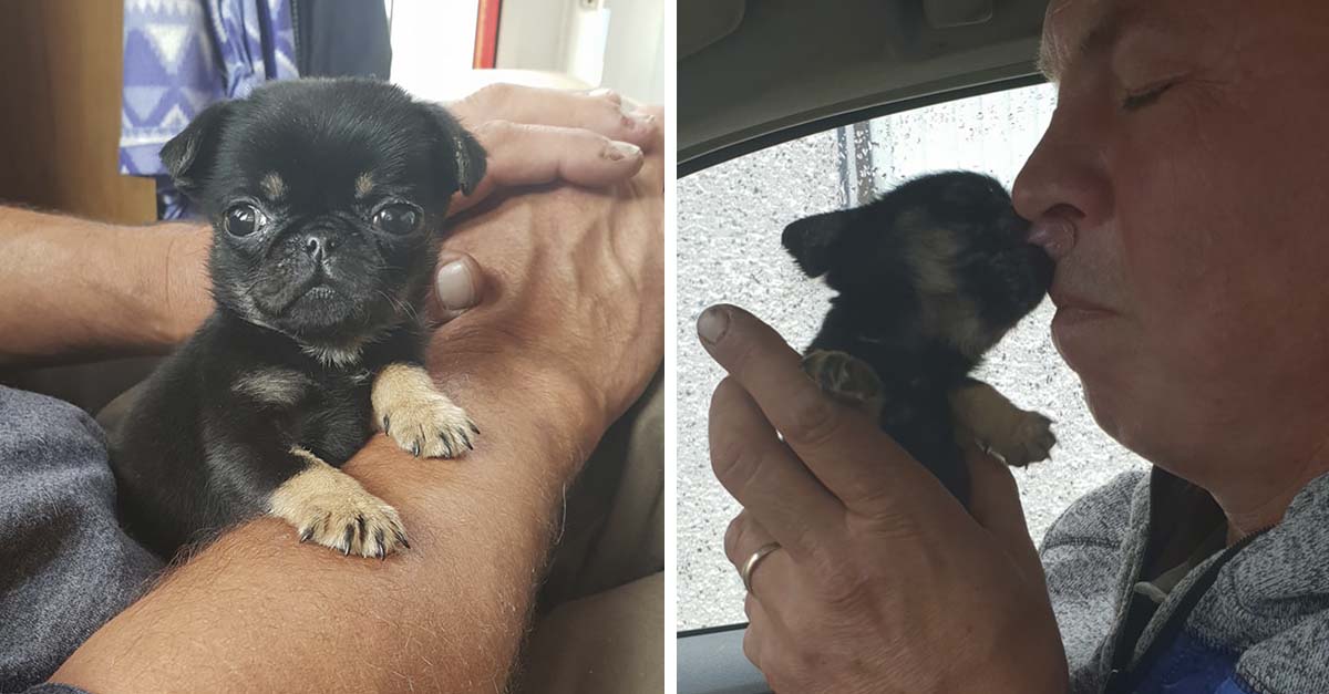 Pequeño cachorro fue encontrado tirado en una bolsa de plástico