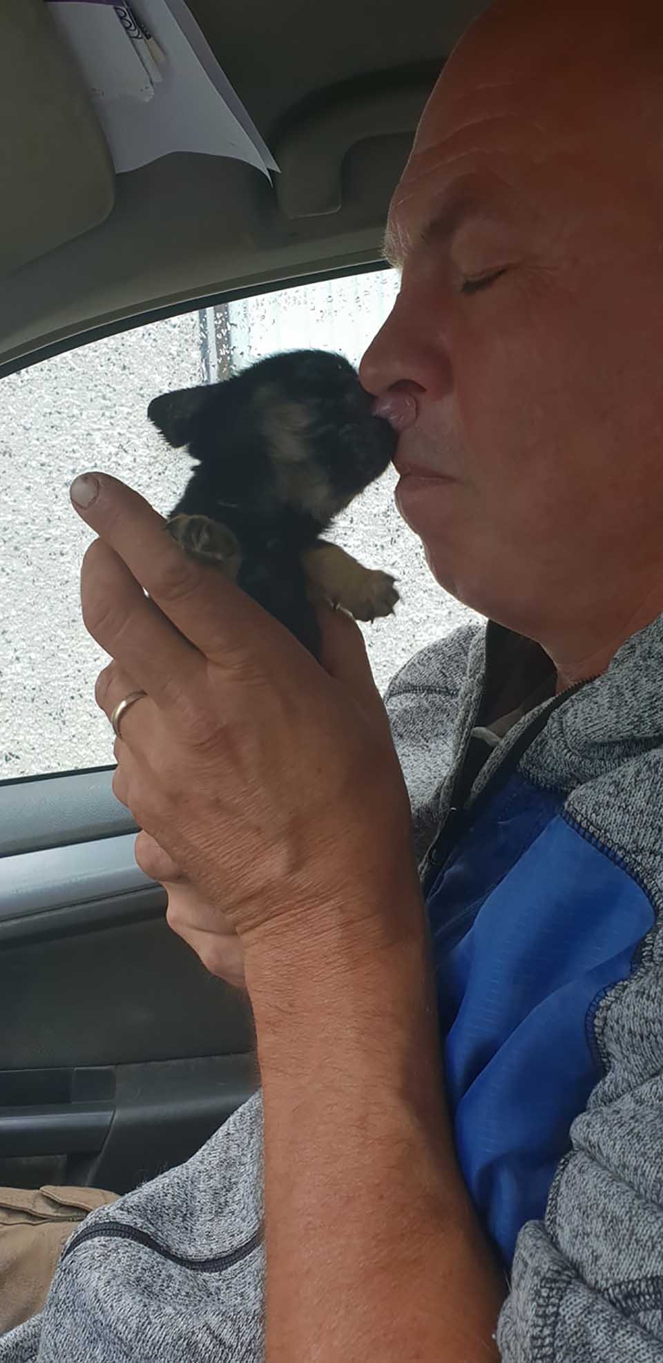 Pequeño cachorro lame a hombre