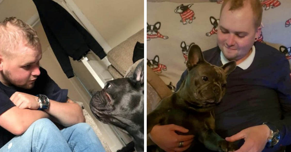 Perrito muere 15 minutos después de que hombre falleciera de cáncer