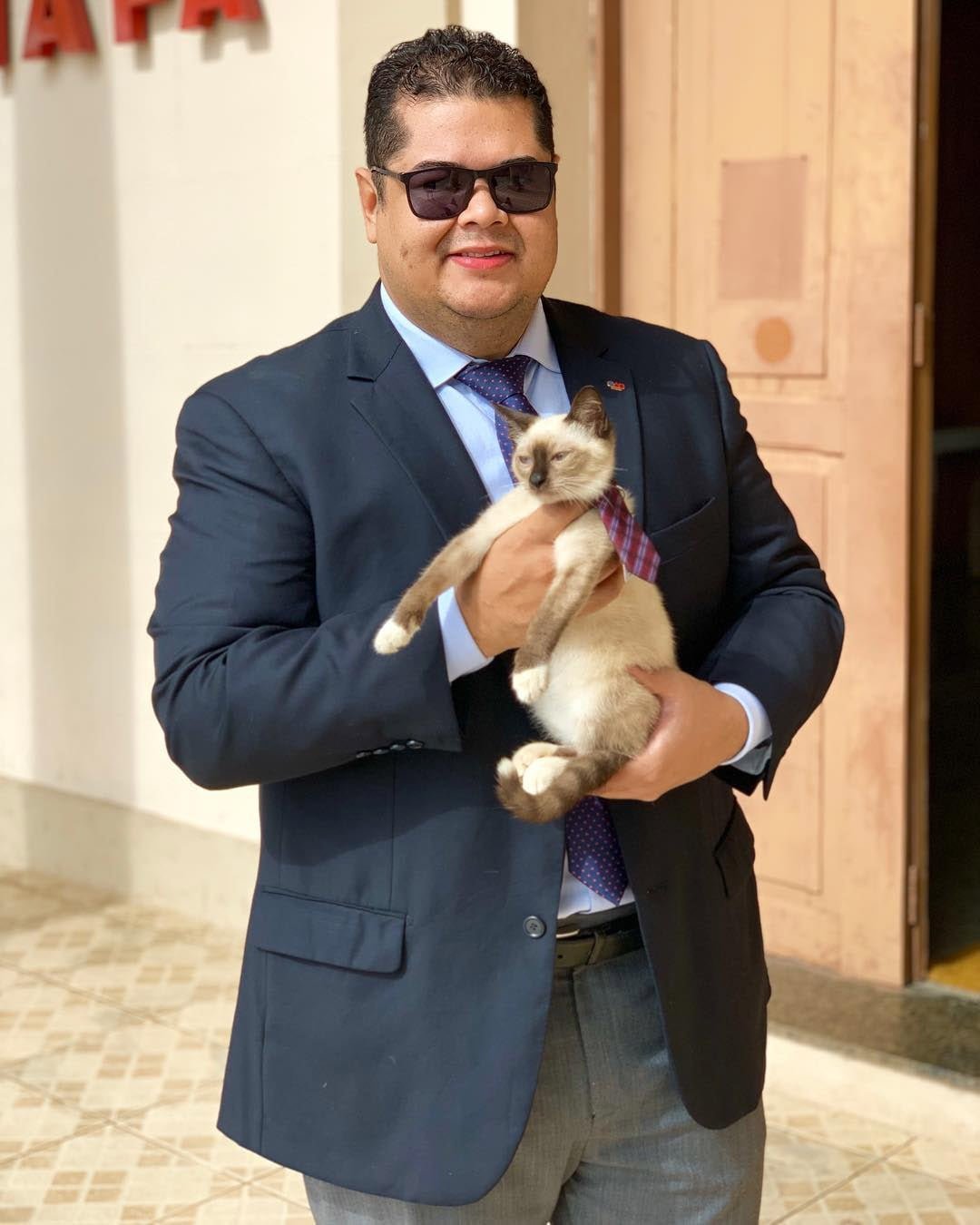 Se quejaron de un gato sin hogar que deambulaba por un bufete de abogados y lo contrataron 16 Abogado con Leon