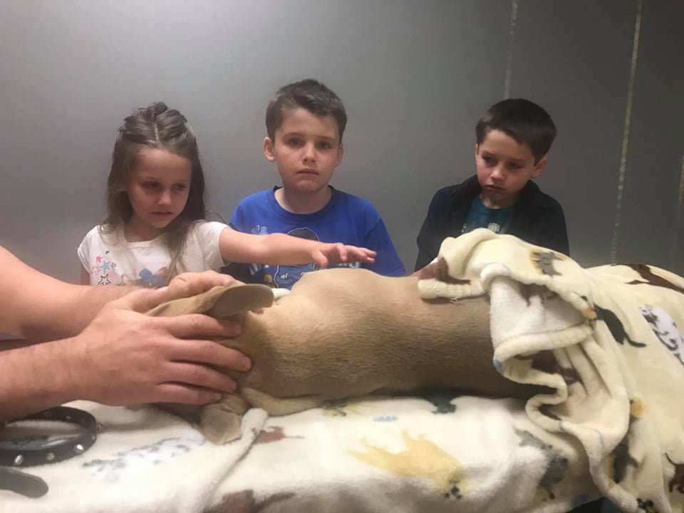 Niños y Zeus Niños y Zeus