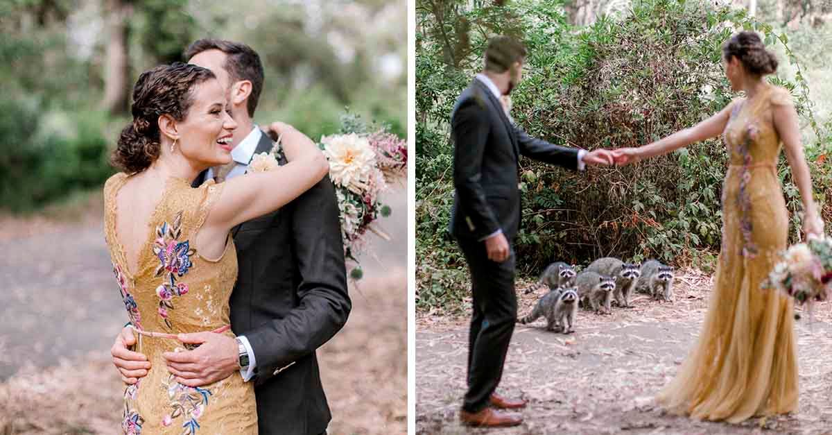 Adorables mapaches se cruzan en sesión fotográfica de una boda