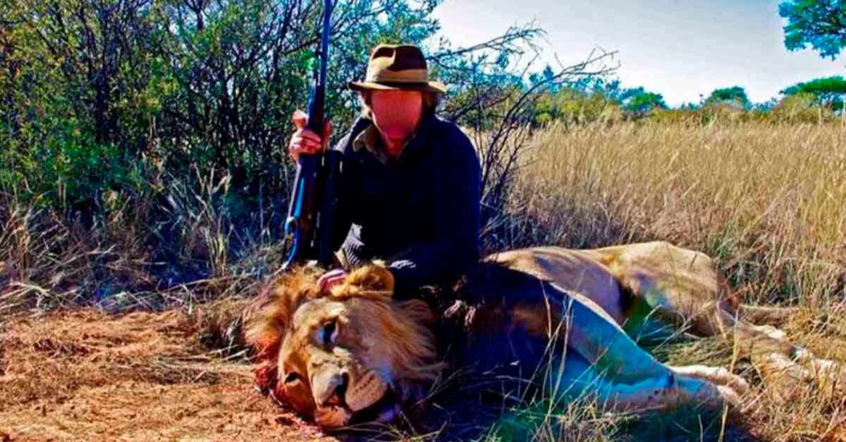 Compañía de caza de trofeos ofrece el paquete 2 x 1 para matar a leones