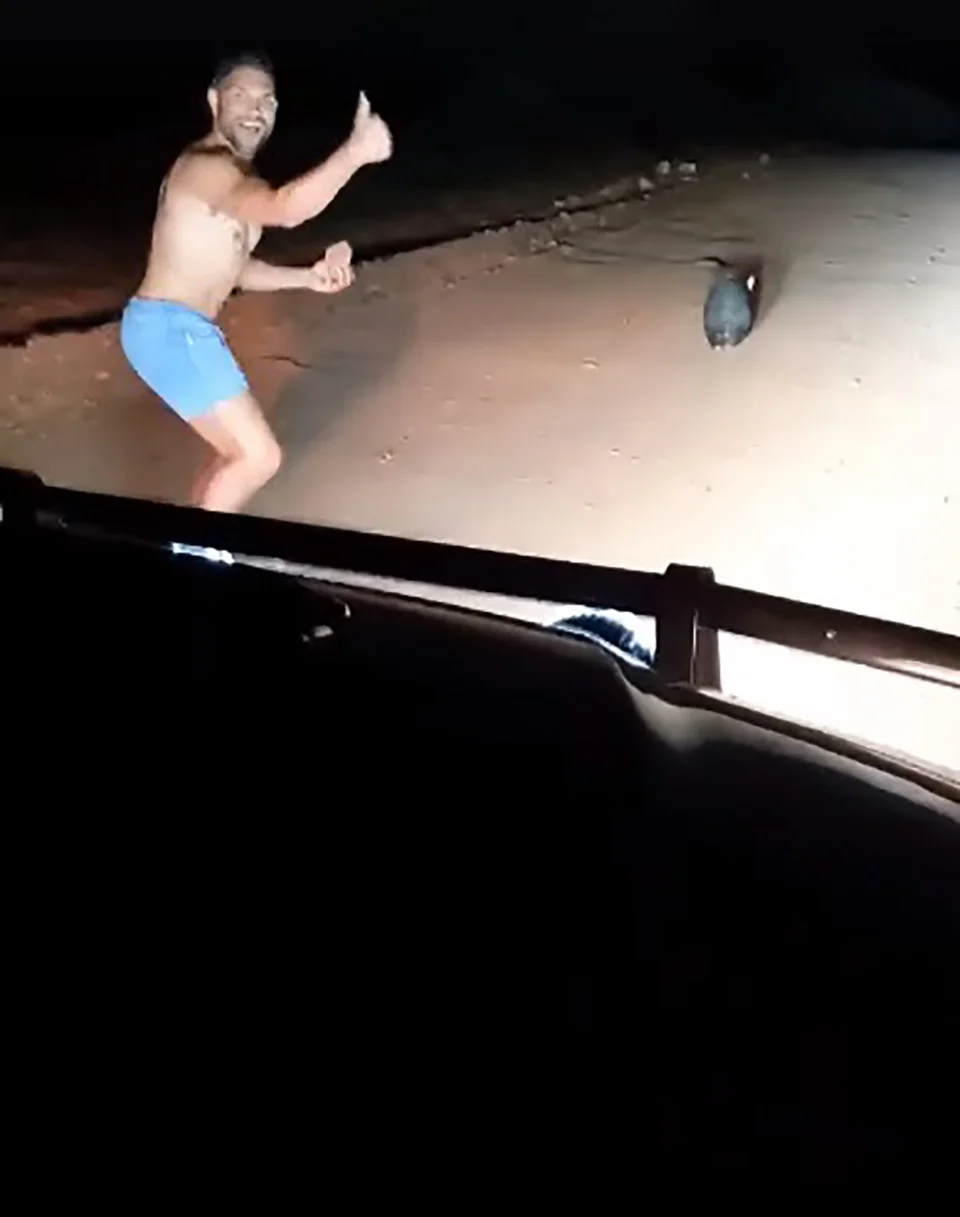 Hombre se divierte al matar a un animal