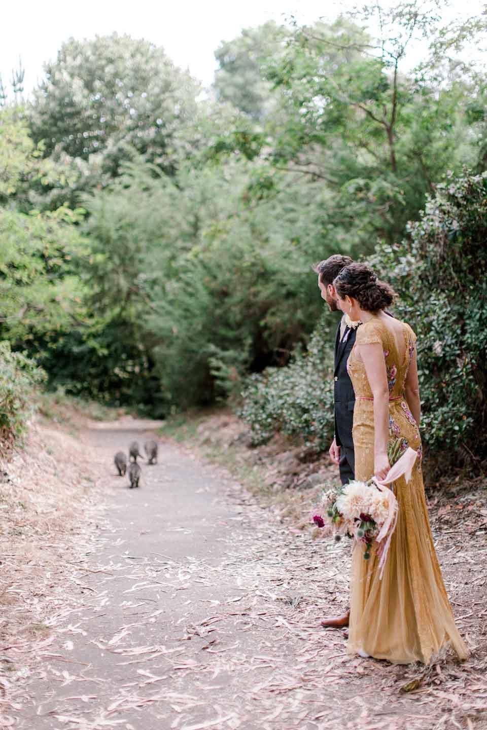 Cuadrilla de adorables mapaches se cruzan en sesión fotográfica de la boda de una pareja 10 Mapaches siguen su camino mientras pareja los observa