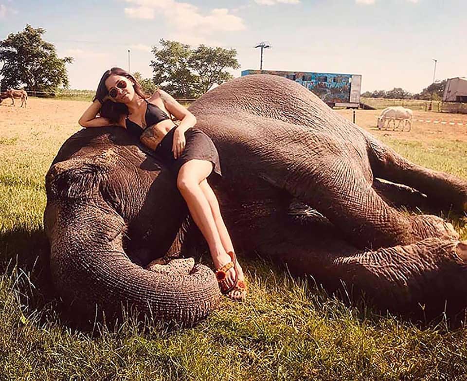 Mujer sobre elefante