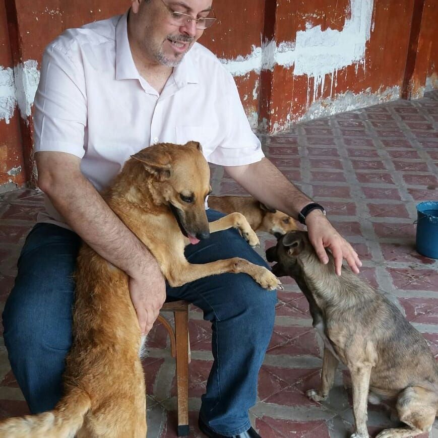 Padre Joao con perros rescatados