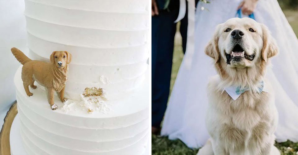 Pareja tiene la mejor temática para su pastel de bodas