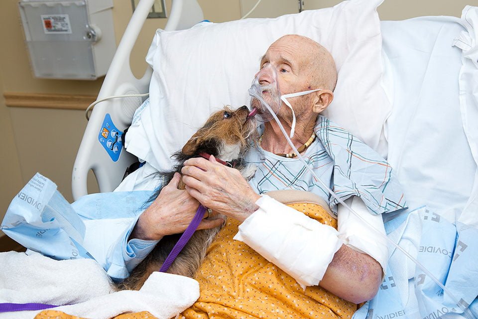 Patch y su humano Patch y su humano