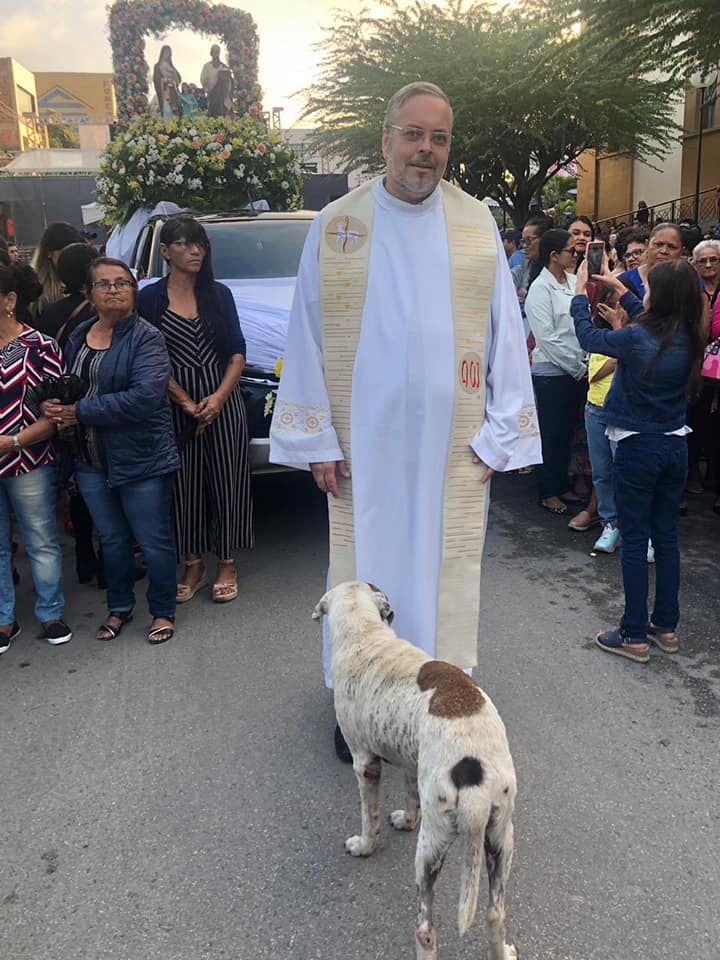 Perro acompaña procesión