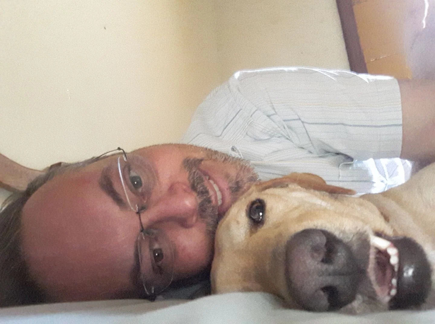 Perro del padre Joao