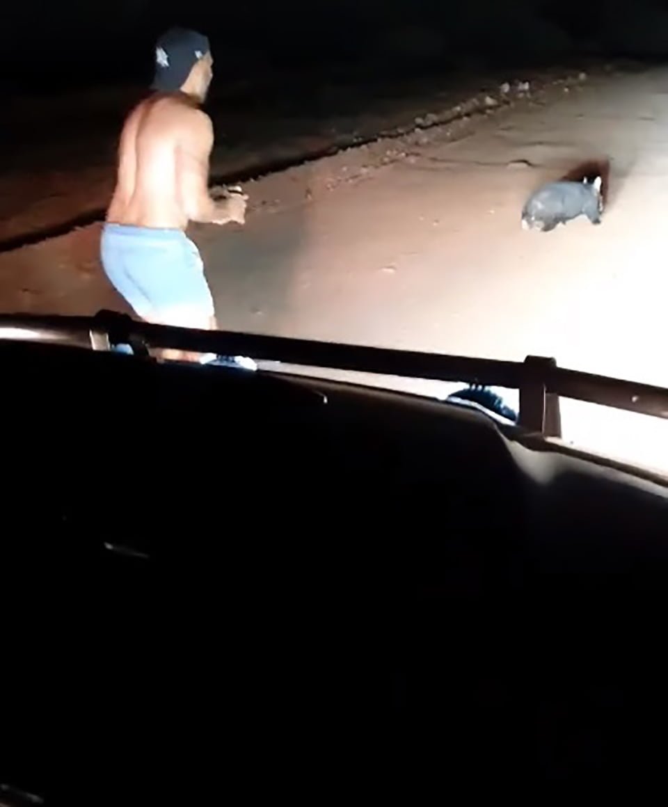 Policía fuera de servicio ataca a un wombat aterrorizado golpeándolo repetidamente con una piedra mientras se ríe 5 Policía con piedra