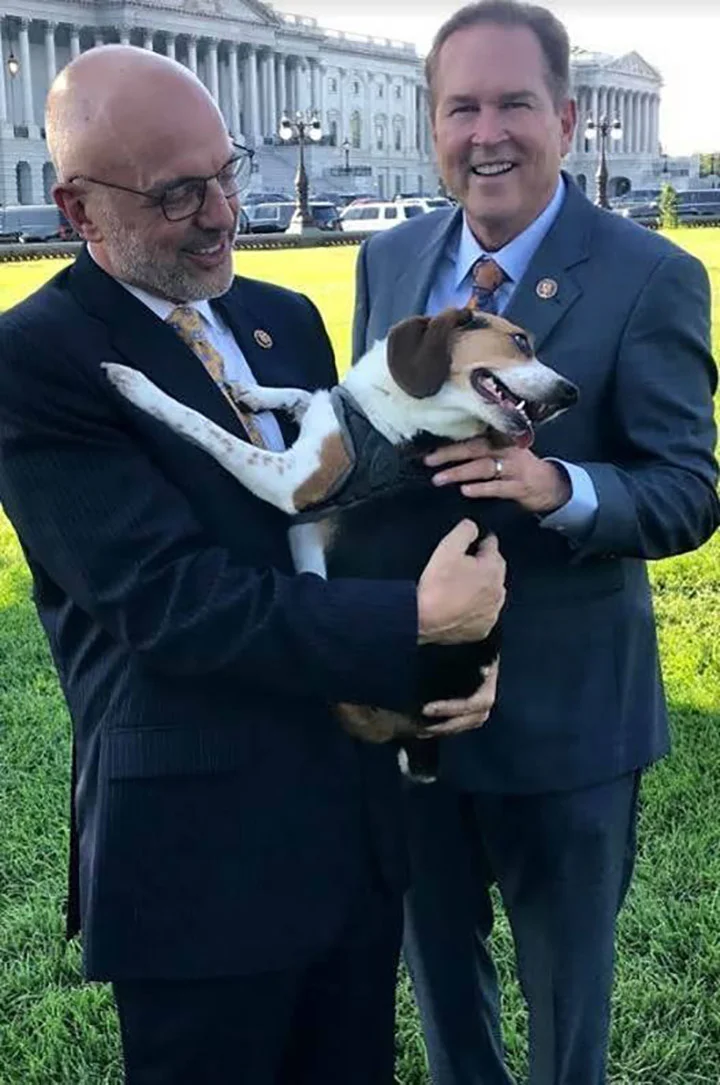 Proyecto de ley contra crueldad animal Proyecto de ley contra crueldad animal