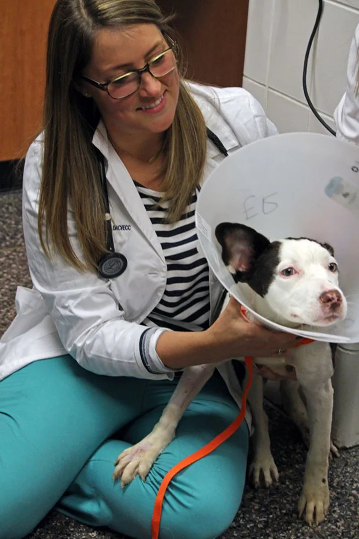 Dory en la veterinaria Dory en la veterinaria