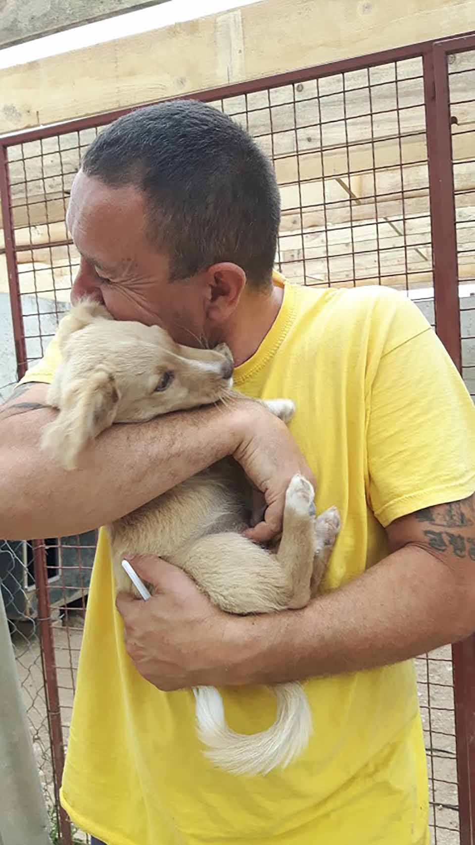 Hombre cuida en su refugio a más de 750 perros que nadie más quería 5 Hombre brinda cariño y abraza a cachorro