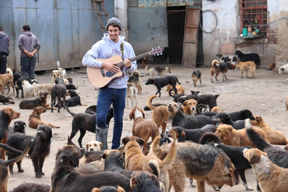 Hombre cuida en su refugio a más de 750 perros que nadie más quería 11 Hombre con guitarra y perros