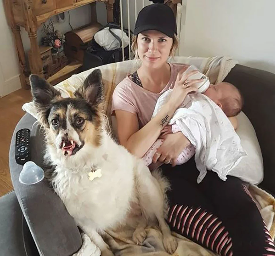 Perrito sin nariz es acompañado de mujer con bebé en brazos