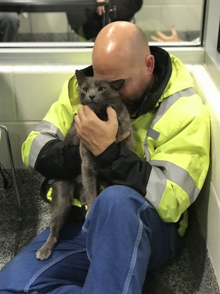 Conductor de camión rompe en llanto cuando se reúne con su gato después de meses de búsqueda 11 Ashes y Matthew