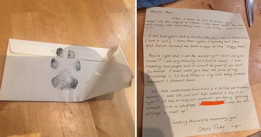 Chicos escriben carta emotiva al vecino para pasear a su perro