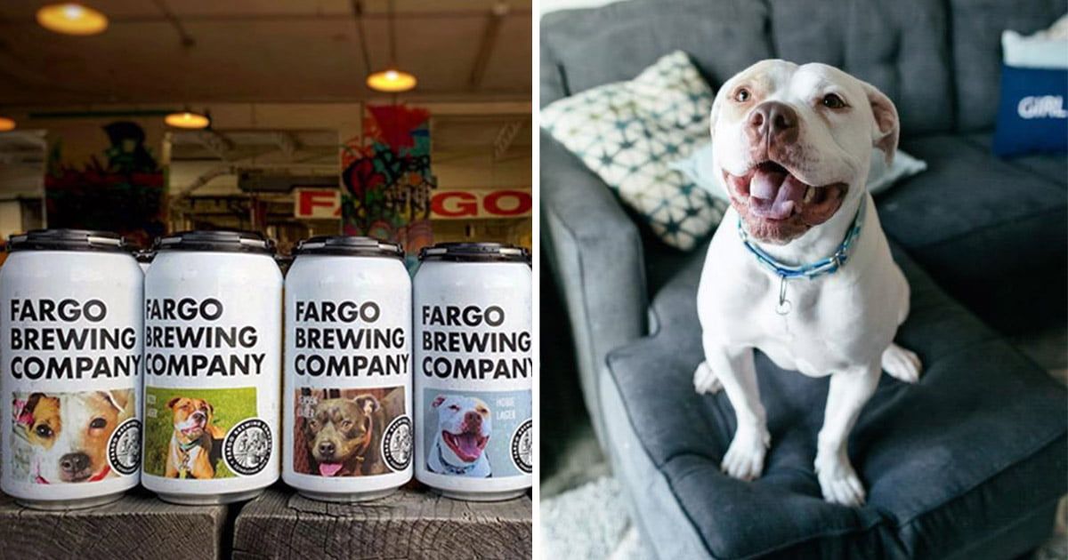 Compañía cervecera pone fotos de perros en adopción en sus latas