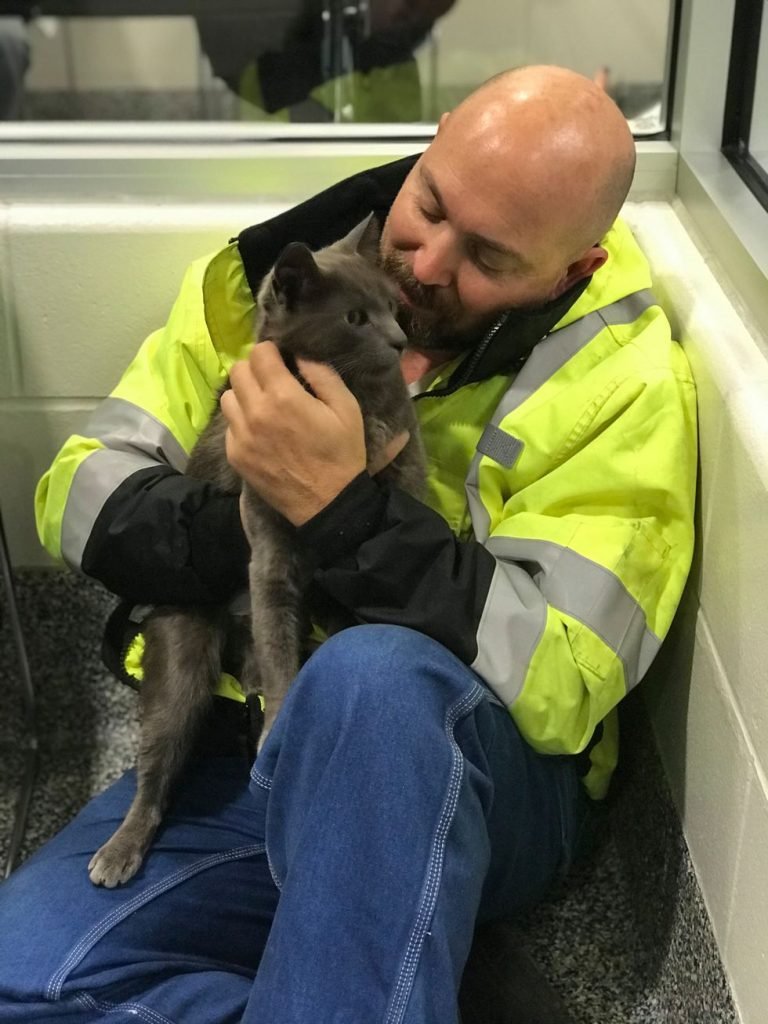 Conductor de camión rompe en llanto cuando se reúne con su gato después de meses de búsqueda 12 Conductor de camion encuentra a su gato