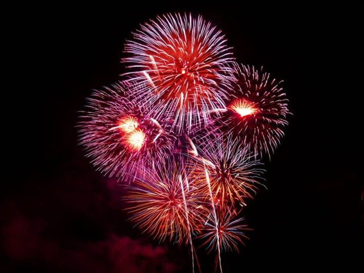 Alcalde suspende espectáculo de fuegos artificiales por los animales 5 Fuegos Pirotécnicos