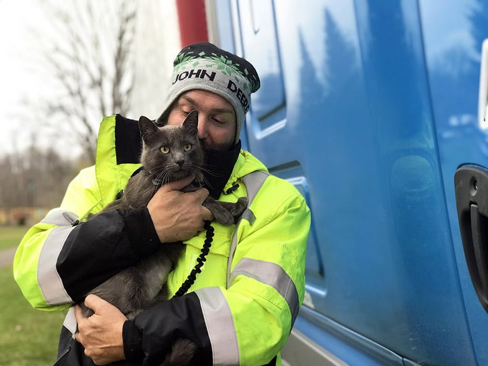 Conductor de camión rompe en llanto cuando se reúne con su gato después de meses de búsqueda 9 Matthew se reencuentra con Ashes