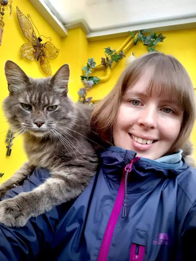 Mujer logra que sus 17 perros y gatos posen para una foto, pero le tomó semanas conseguirlo 7 Mujer rescata animales