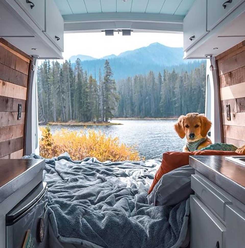 Mujer termina con su novio y deja su trabajo para viajar en su furgoneta con su perrita 16 Perrita disfruta de viaje en furgoneta