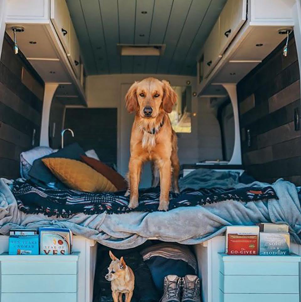 Mujer termina con su novio y deja su trabajo para viajar en su furgoneta con su perrita 17 Perrita en furgoneta