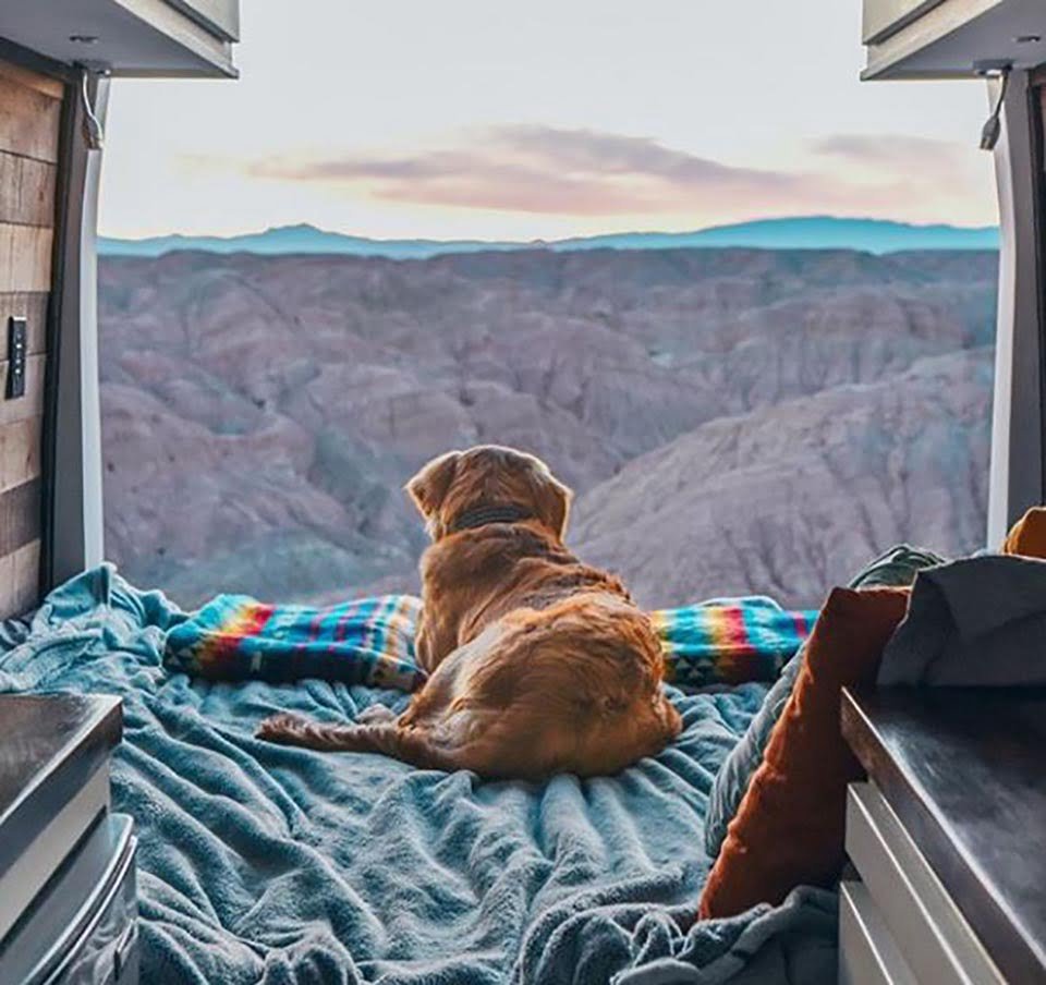 Mujer termina con su novio y deja su trabajo para viajar en su furgoneta con su perrita 18 Perrita visualiza el hermoso panorama desde una furgoneta