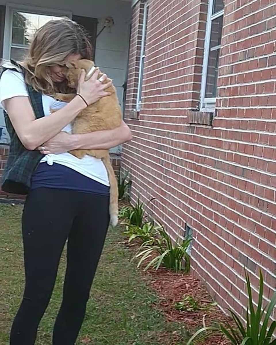 Gato salta a los brazos de mamá después de perderse durante 536 días 5 Reencuentro